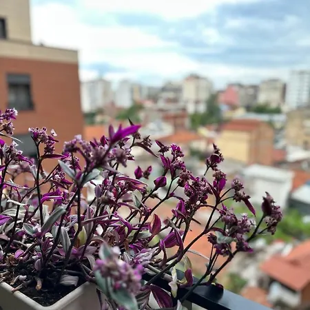Noon